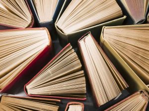 Javier Ceballos Jiménez - ¡Entérate! ¡Éstos son los principales subgéneros literarios! - FOTO
