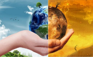 La conservación del ambiente, práctica fundamental para el cuidado del planeta
