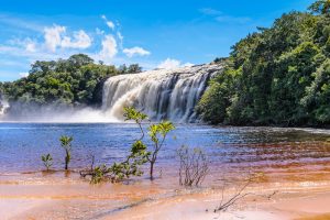Parque Canaima, Yammine.