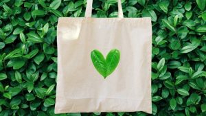 Las bolsas ecológicas y su contribución con el cuidado del ambiente
