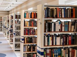 Javier Ceballos Jiménez - ¡Conócelas! Top 10 curiosidades del mundo de la literatura - FOTO