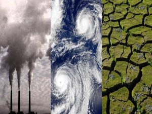 Ligia Carolina Gorriño Castellar - Cambio climático ¡La principal preocupación de las aseguradoras! - FOTO