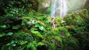 Top 10 de actividades ecoturísticas para realizar en tu próximo viaje