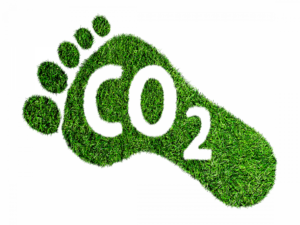 Fundación Yammine - ¡Entérate! ¡Importancia de conocer la huella de carbono! - FOTO