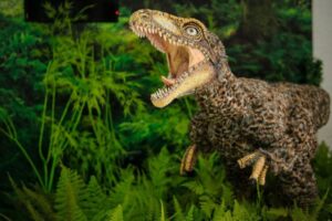 Tachiraptor