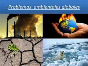 Un llamado a la acción por la sostenibilidad