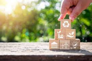 Cómo reducir nuestra huella ambiental
