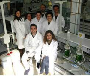 Investigación y Desarrollo: La Gallinaza Compostada como Abono Orgánico de Calidad