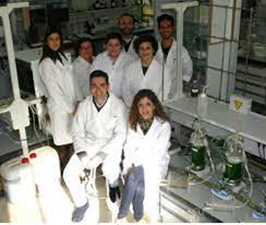 Investigación y Desarrollo: La Gallinaza Compostada como Abono Orgánico de Calidad