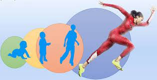 Talento deportivo, escalón al éxito: Descubriendo las claves para alcanzar la cima 