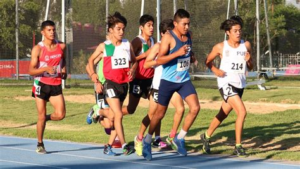 Modelos de Desarrollo Deportivo y Factores Condicionantes del Talento Deportivo: Claves para Potenciar el Éxito 
