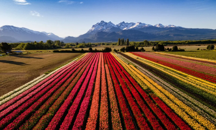 Descubrí la Nueva Aventura de Mujeres de Viaje rodeada de