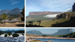 Descubriendo la exuberante vegetación del Parque Canaima 