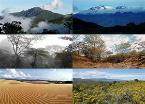 Descubriendo la Diversidad de Climas y Ecosistemas en Venezuela 