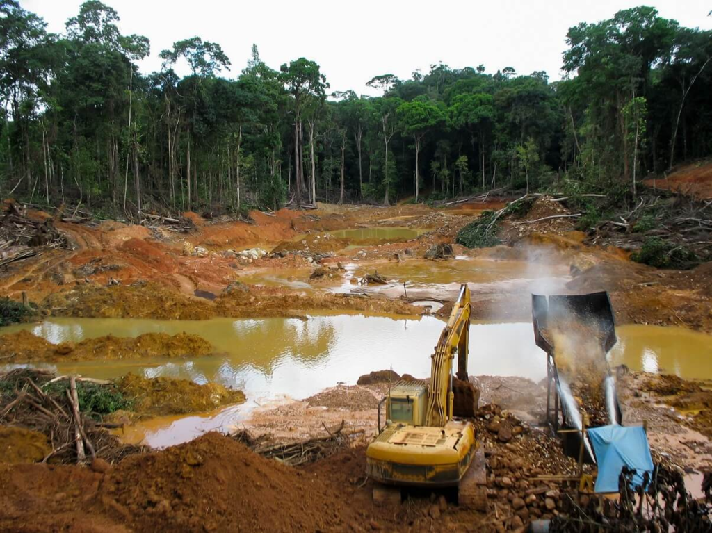 El Impacto Ambiental en Venezuela: Desafíos y Perspectivas para la Conservación 