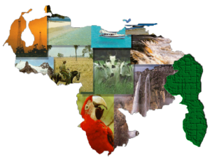La importancia del turismo en Venezuela: Un país de maravillas por descubrir 