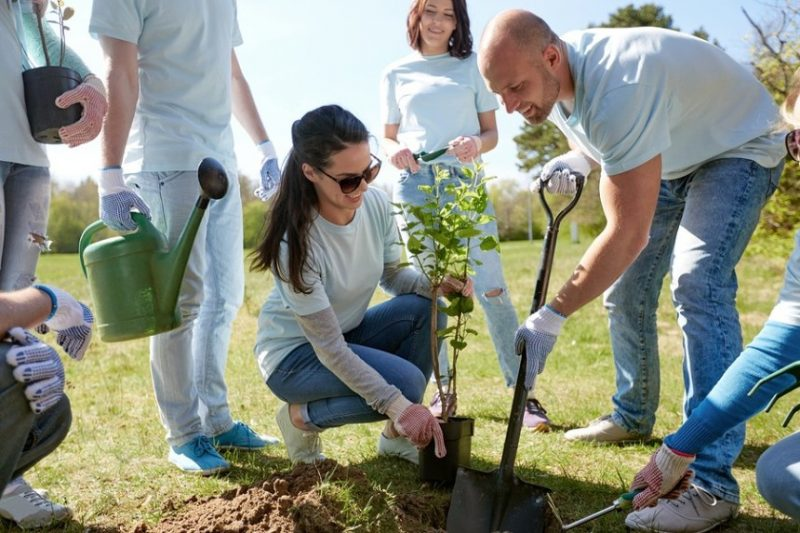 Oportunidades y desafíos del emprendimiento social y sostenible: Innovando para un futuro sostenible 