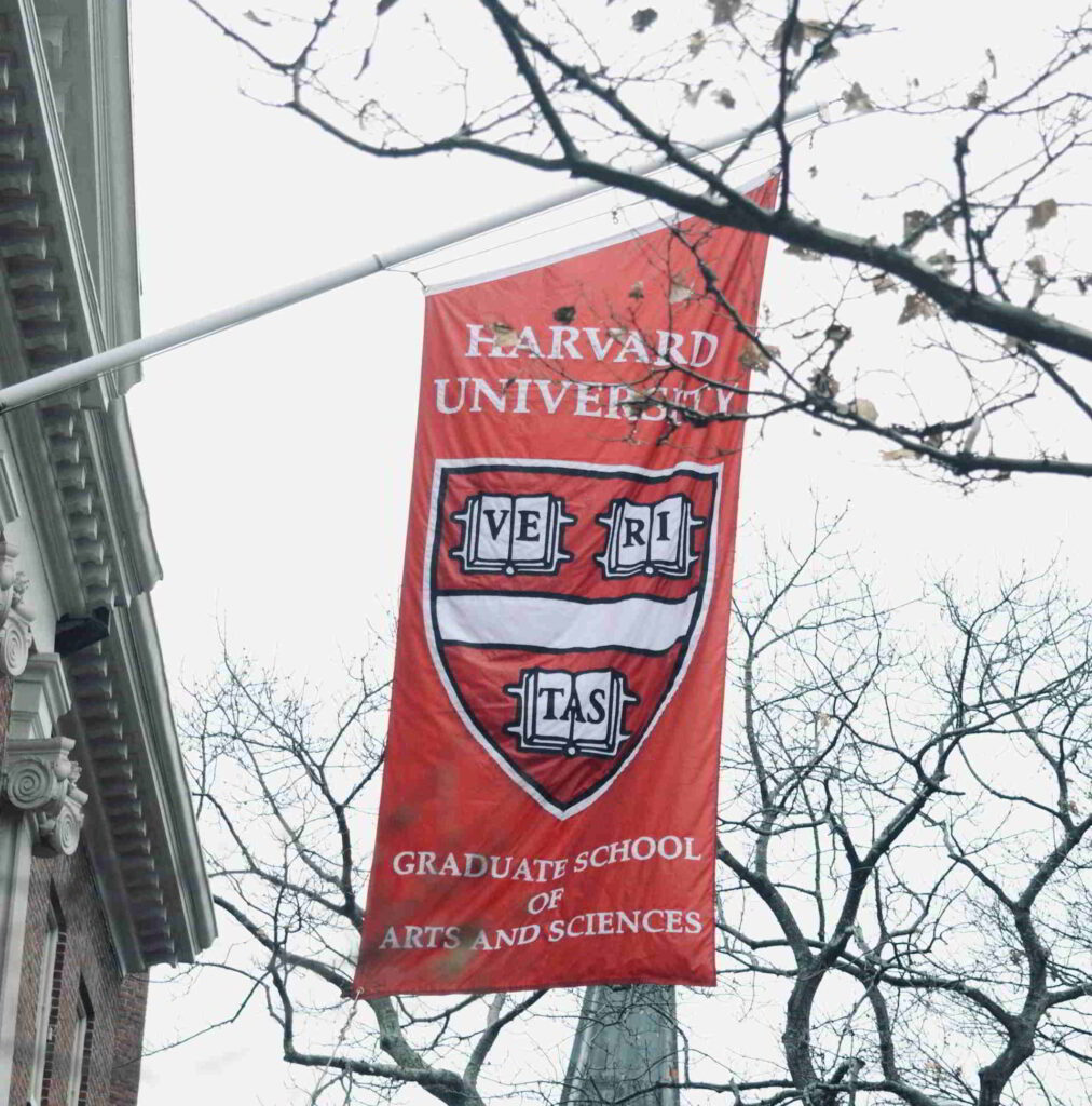 manu ros wvlwZ00eIRk unsplash