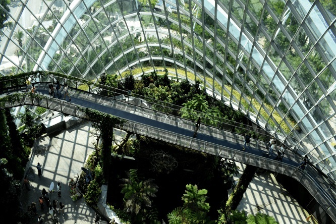 Nelson Rafael Bustamante Abidar - ¡Entérate! Arquitectura biofílica; Qué es ¡Características, ventajas y tendencias! - FOTO