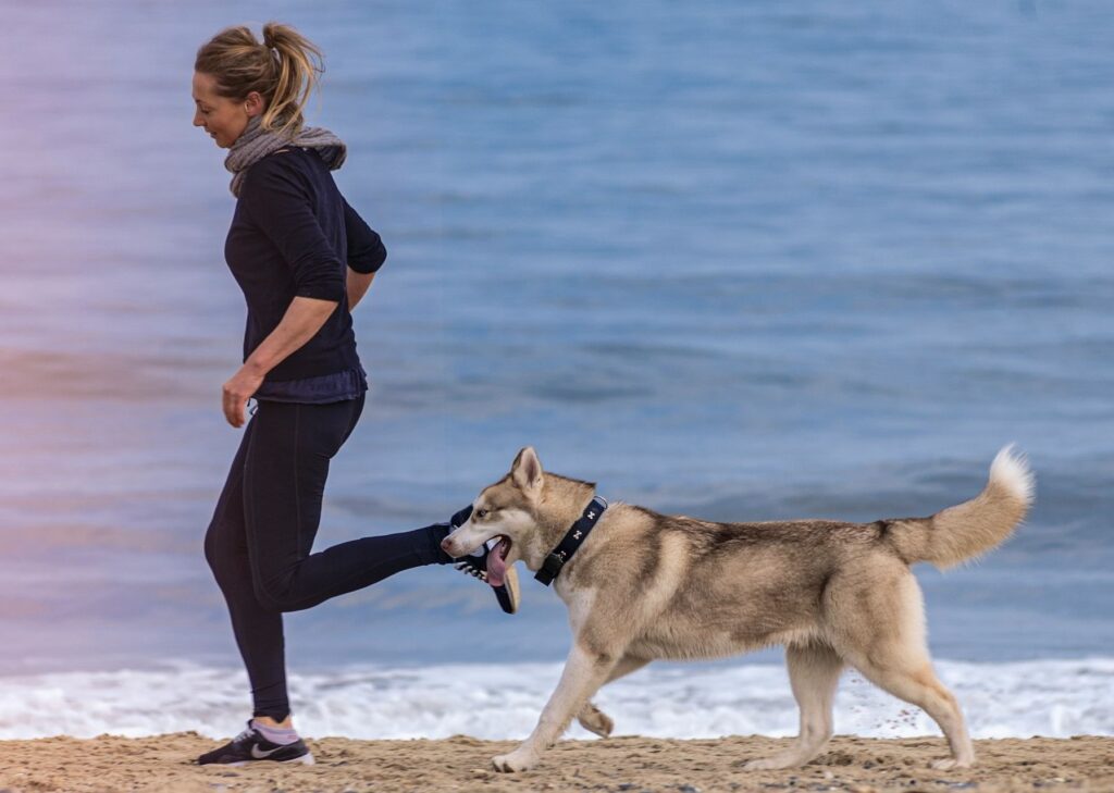 Mucho fitness y full diversión: Beneficios de entrenar con tu mascota