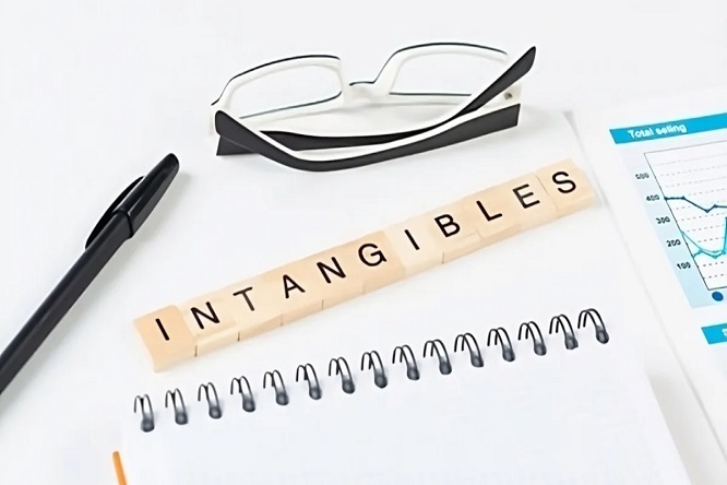 Ligia Carolina Gorriño Castellar - Seguros ¡Escudos para la protección de los intangibles en las empresas! - FOTO