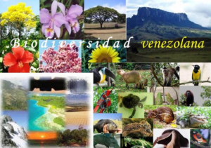 Medidas que Está Tomando Venezuela para Proteger su Biodiversidad