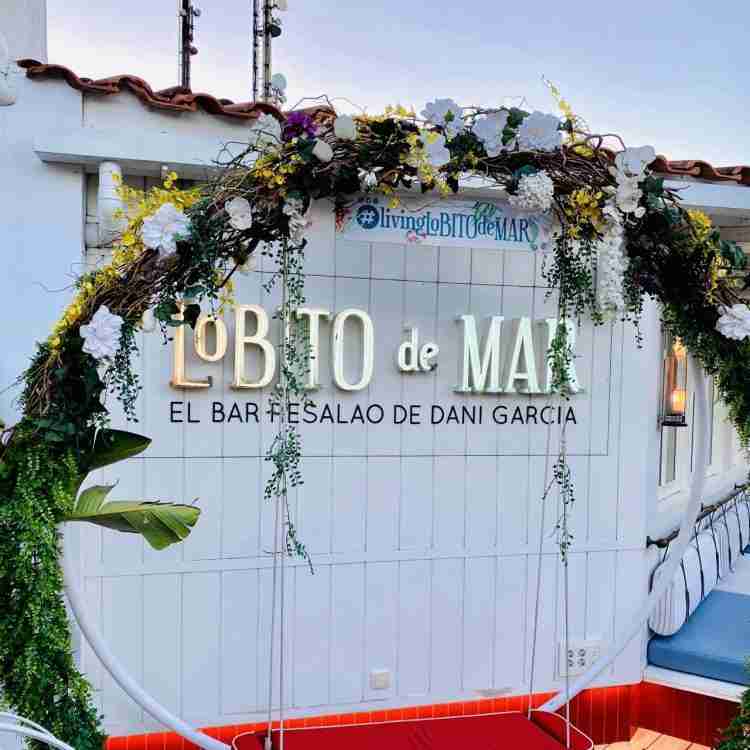 Lobito de Mar Marbella