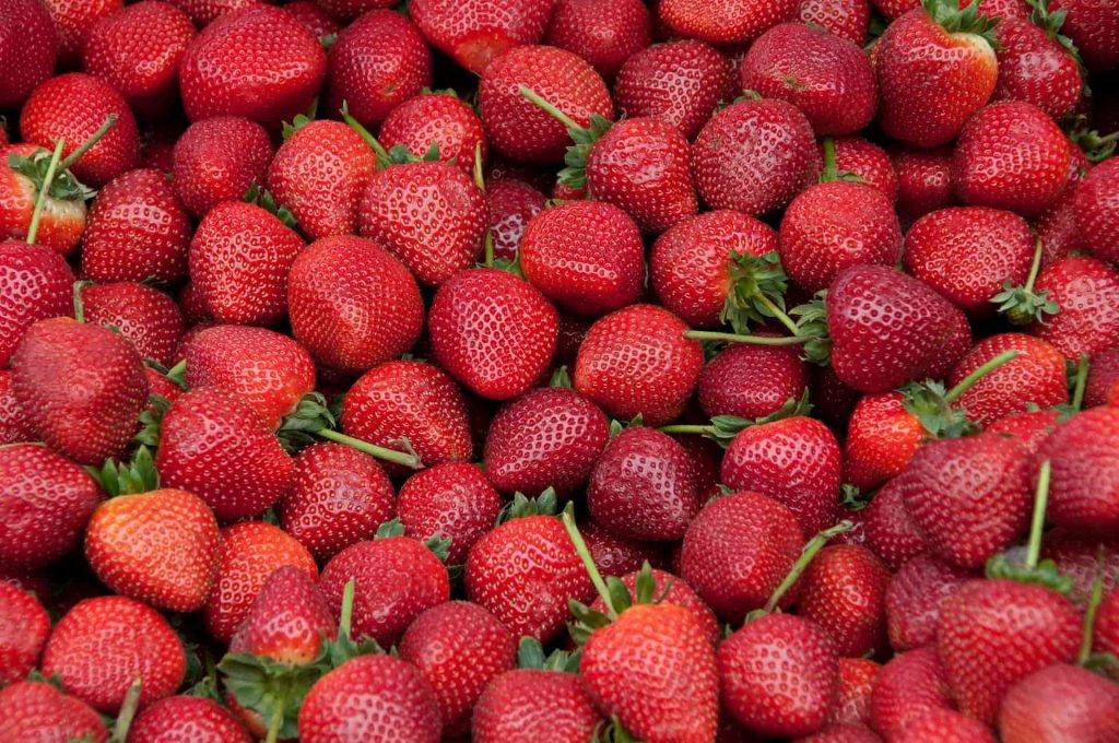 Hasta hoy 15 de marzo: "I Festival de las Fresas" en la Colonia Tovar