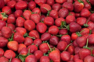 Hasta hoy 15 de marzo: "I Festival de las Fresas" en la Colonia Tovar