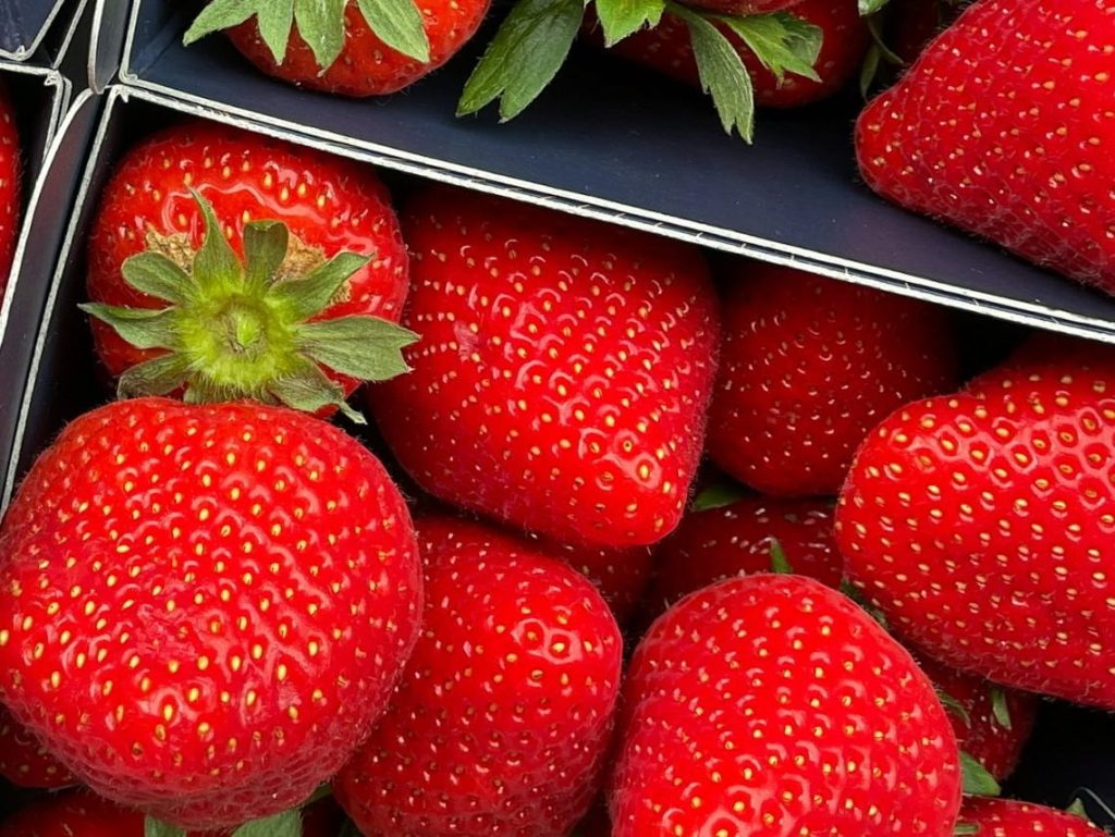 Hasta hoy 15 de marzo: "I Festival de las Fresas" en la Colonia Tovar 2 raghavendra mithare cdS0S11bGoo unsplash