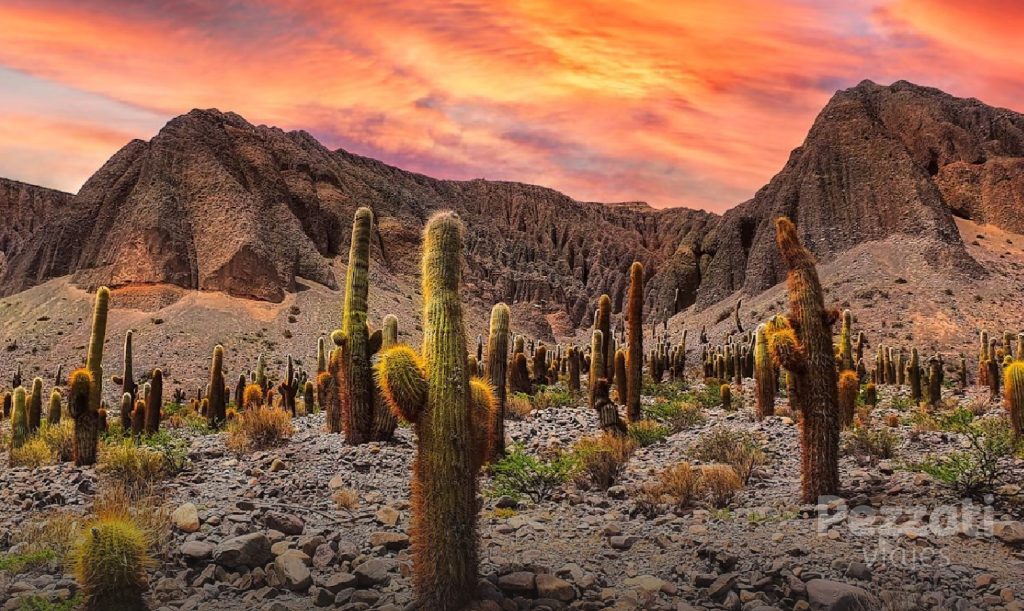 una experiencia que va más allá del paisaje |