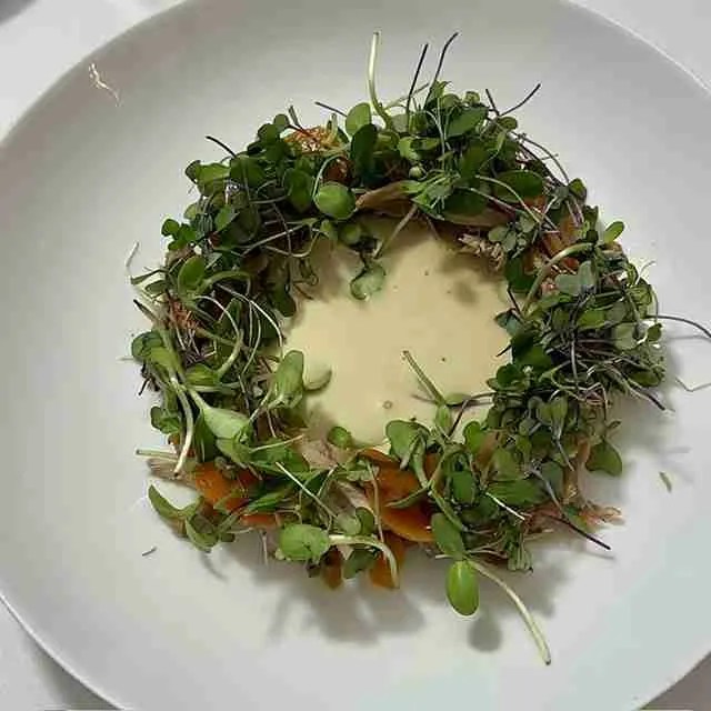 El Bar Valladolid, un imprescindible donde comer en Valladolid