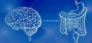 5 Claves de Mariangel Arruebarrera Loreto para Cuidar tu Segundo Cerebro