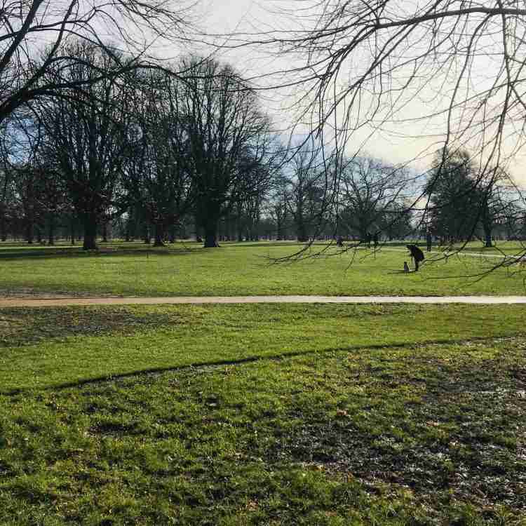 Londres en un fin de semana
