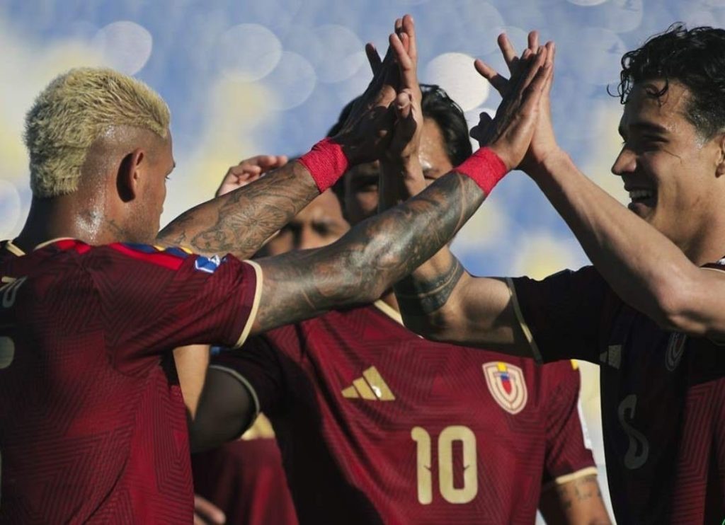 FVF - Vinotinto